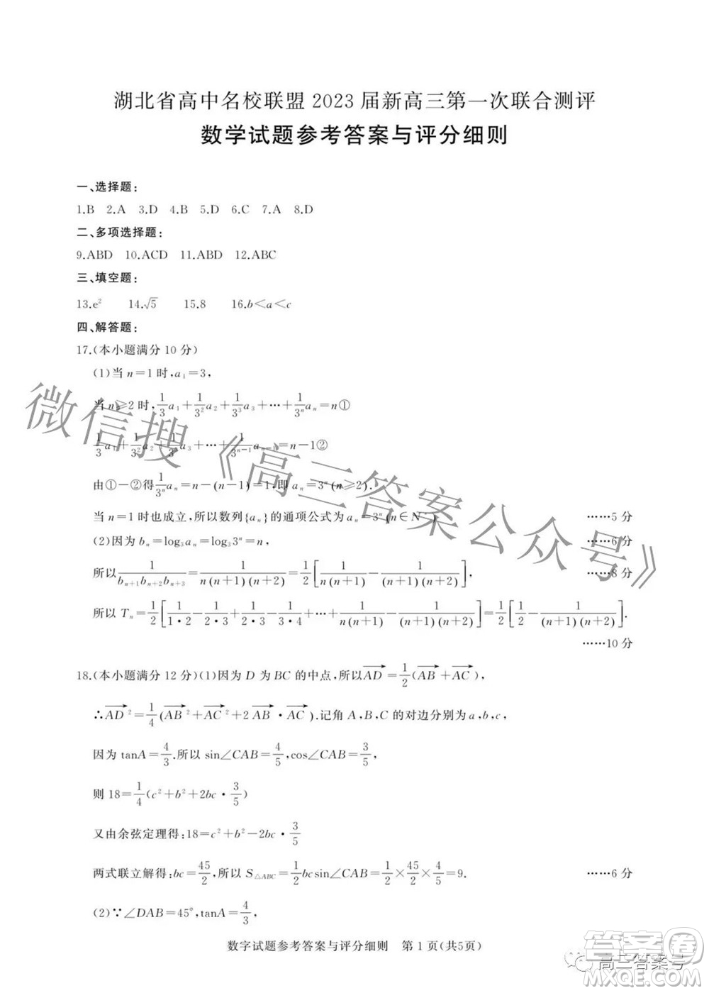 湖北省高中名校聯(lián)盟2023屆新高三第一次聯(lián)合測評數(shù)學(xué)試題及答案