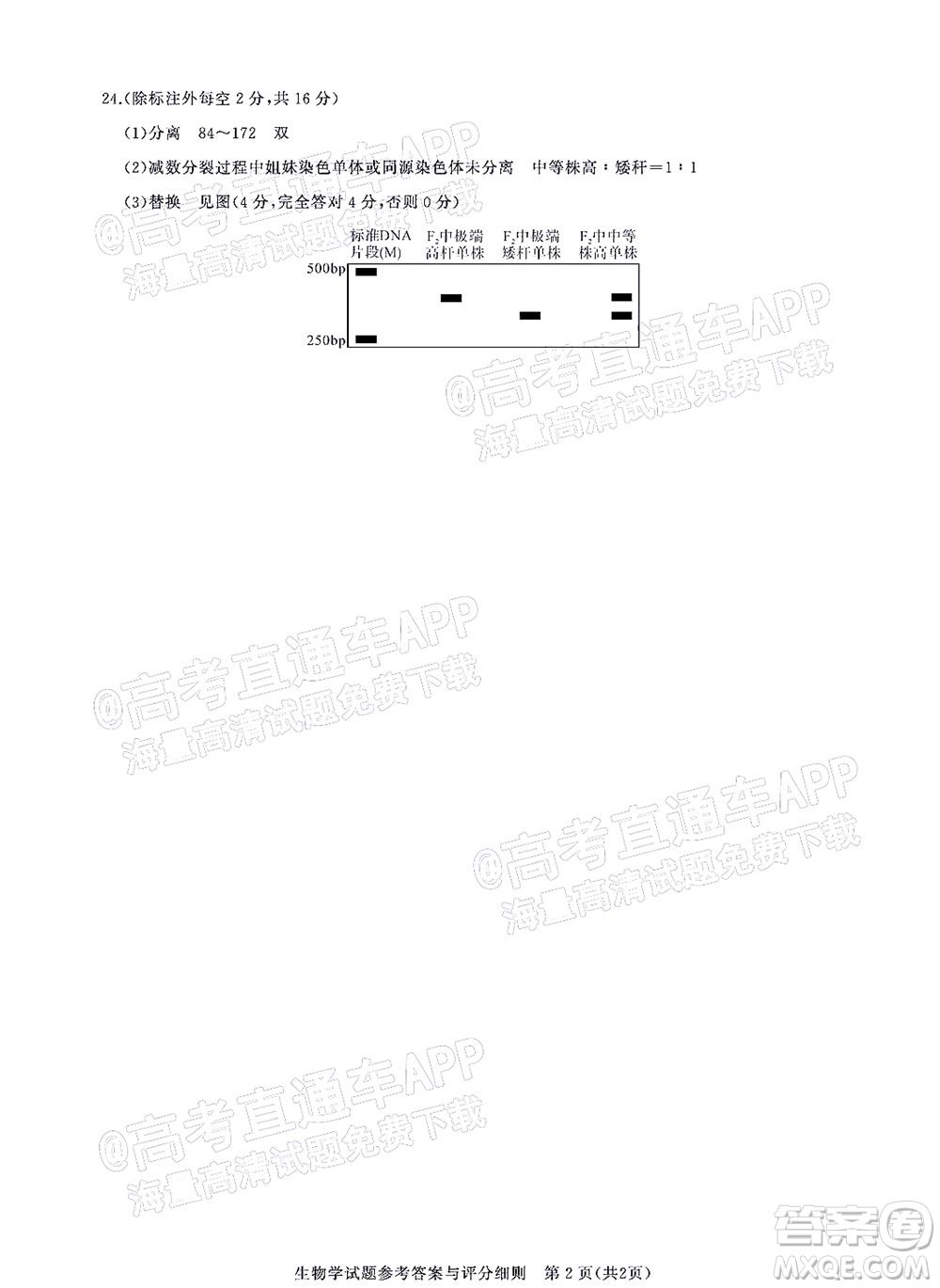 湖北省高中名校聯(lián)盟2023屆新高三第一次聯(lián)合測評生物學試題及答案