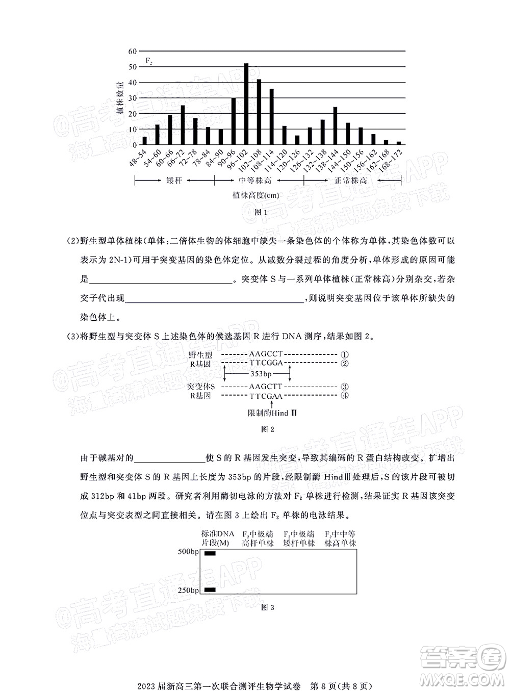 湖北省高中名校聯(lián)盟2023屆新高三第一次聯(lián)合測評生物學試題及答案