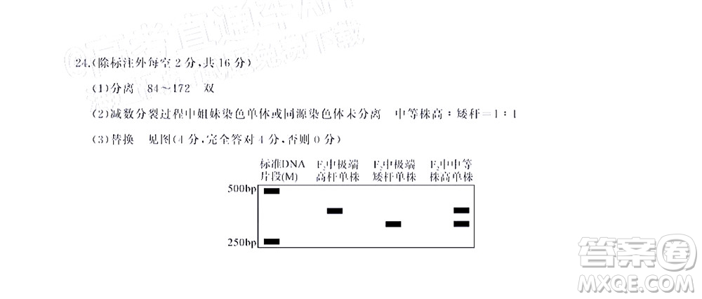 湖北省高中名校聯(lián)盟2023屆新高三第一次聯(lián)合測評生物學試題及答案