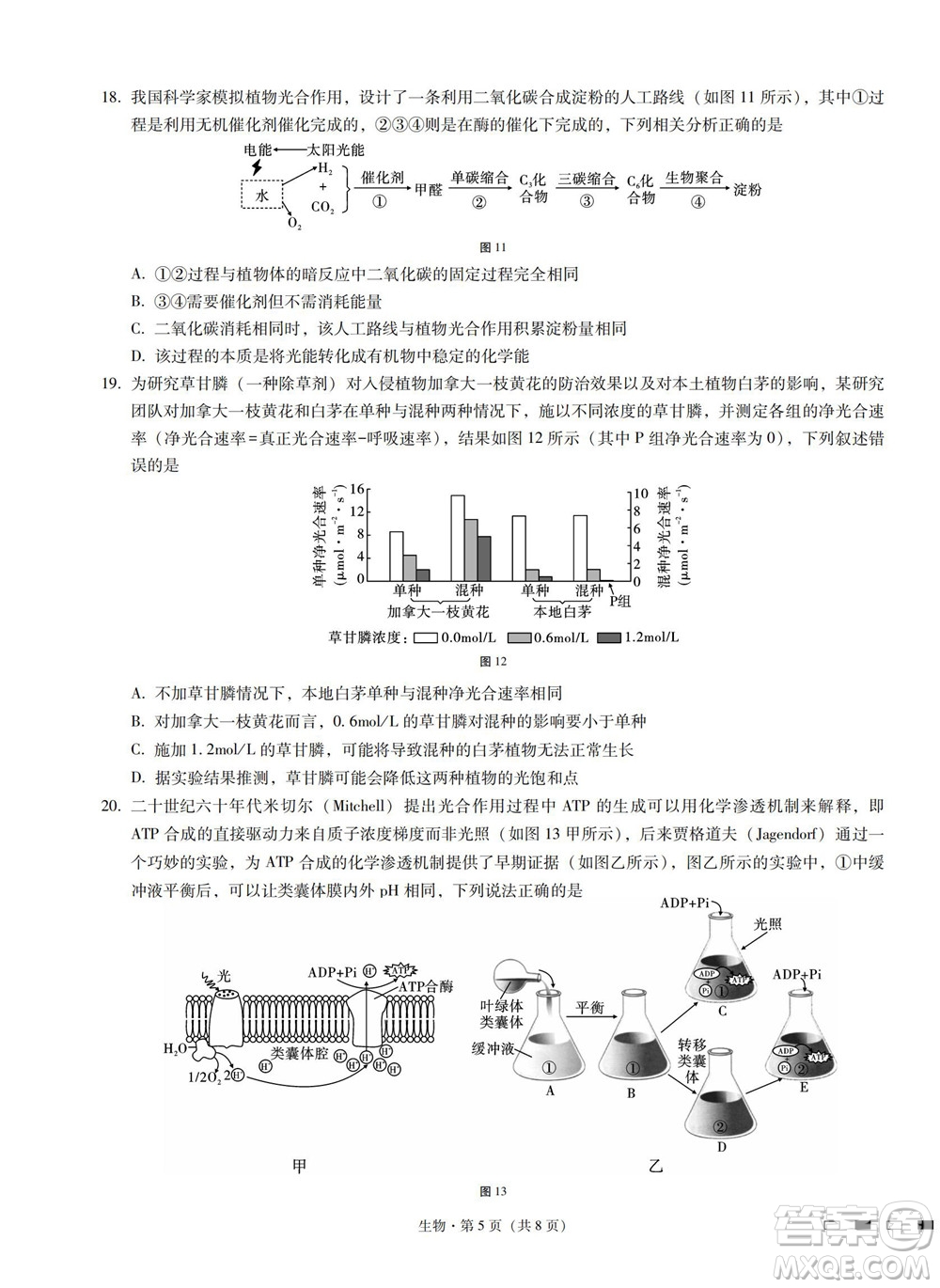 巴蜀中學2023屆高考適應性月考卷一生物試題及答案