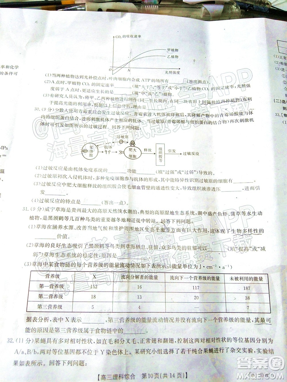 2023屆貴州省金太陽高三年級聯(lián)合考試理科綜合試題及答案
