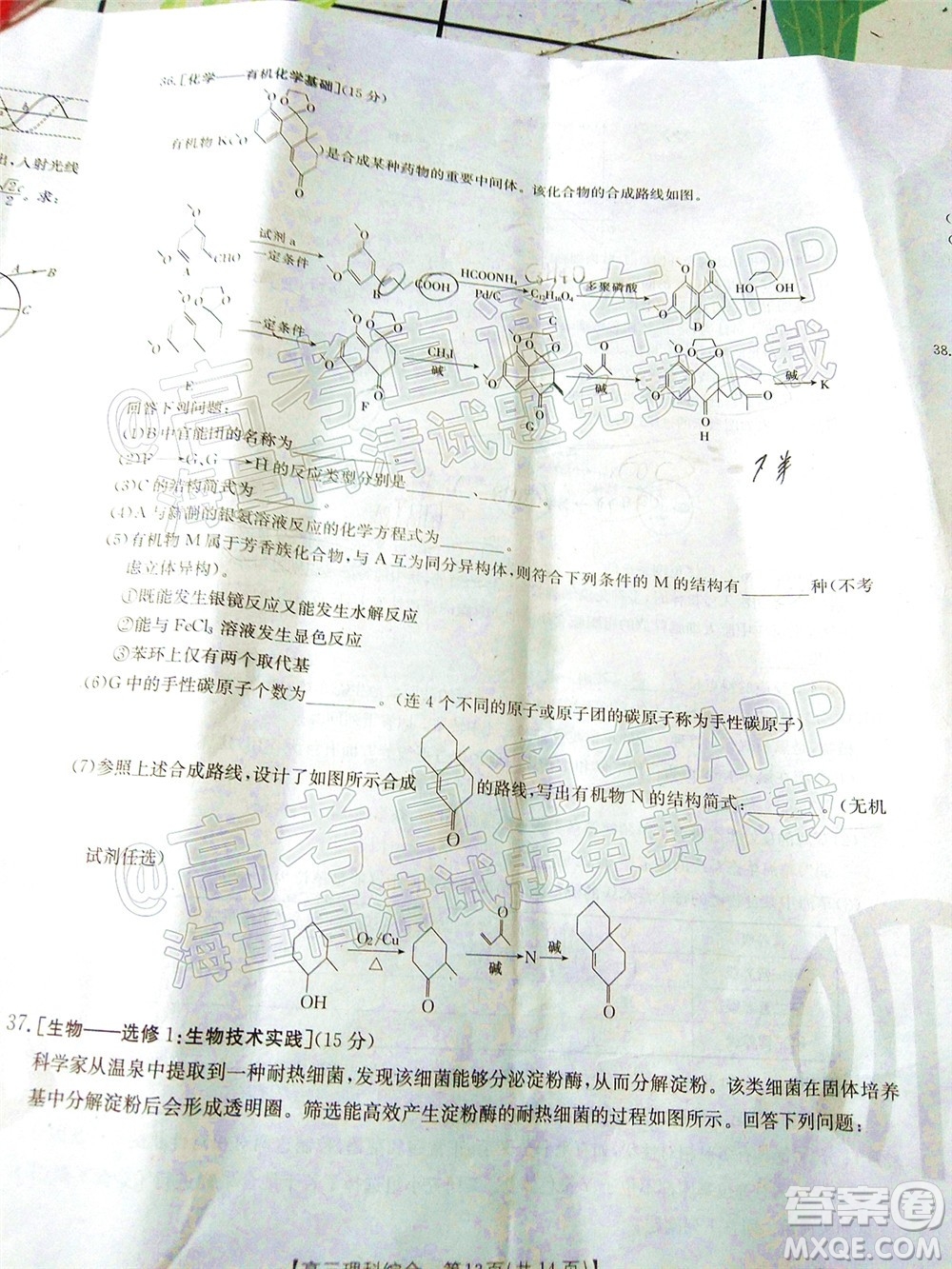 2023屆貴州省金太陽高三年級聯(lián)合考試理科綜合試題及答案