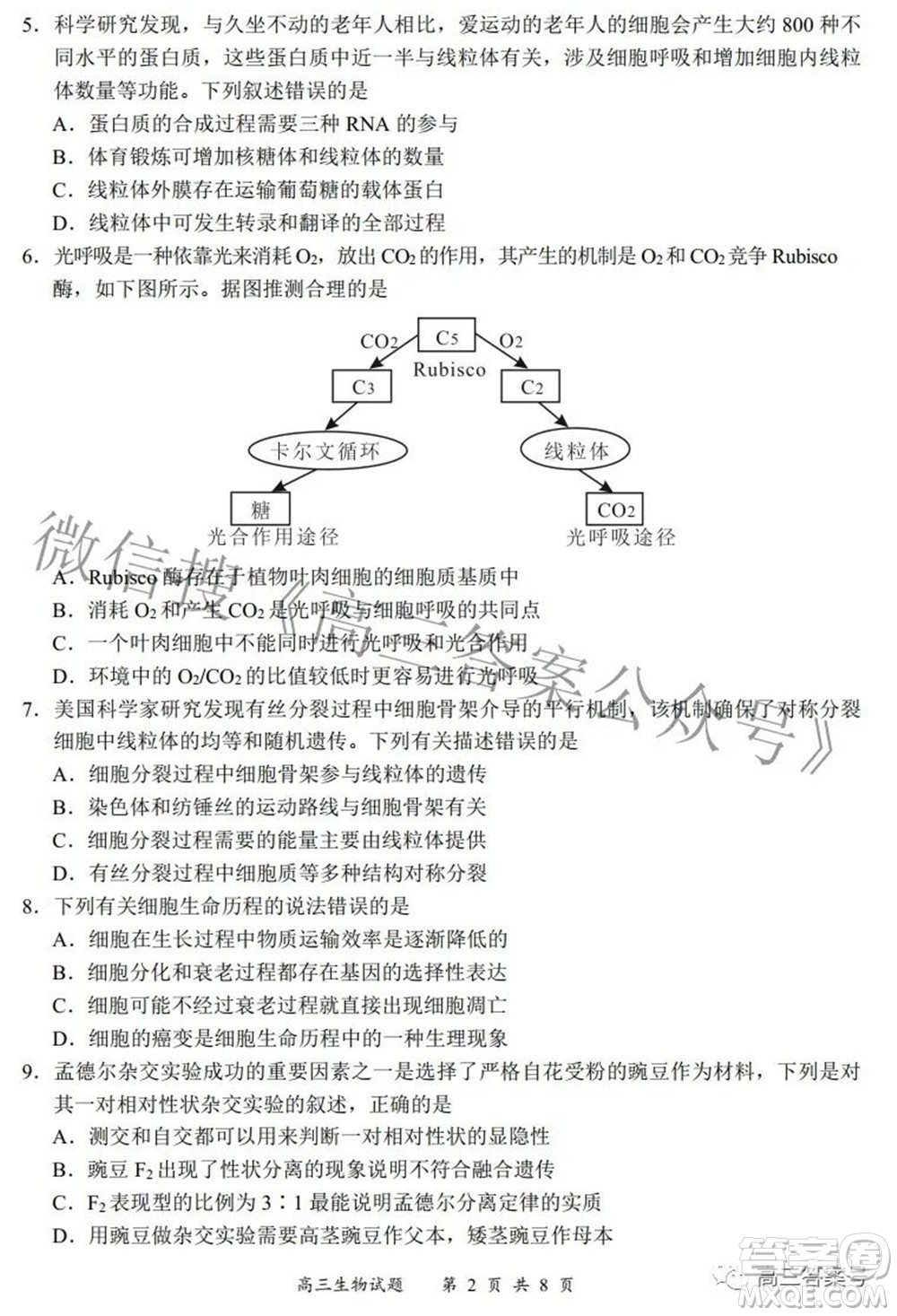 2022-2023學(xué)年度名校面對面高三大聯(lián)考生物試題及答案