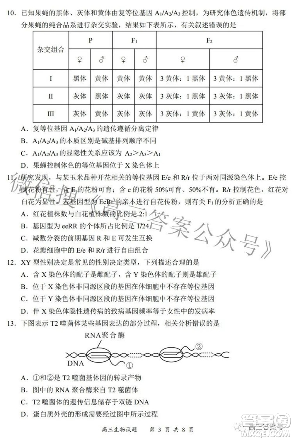 2022-2023學(xué)年度名校面對面高三大聯(lián)考生物試題及答案