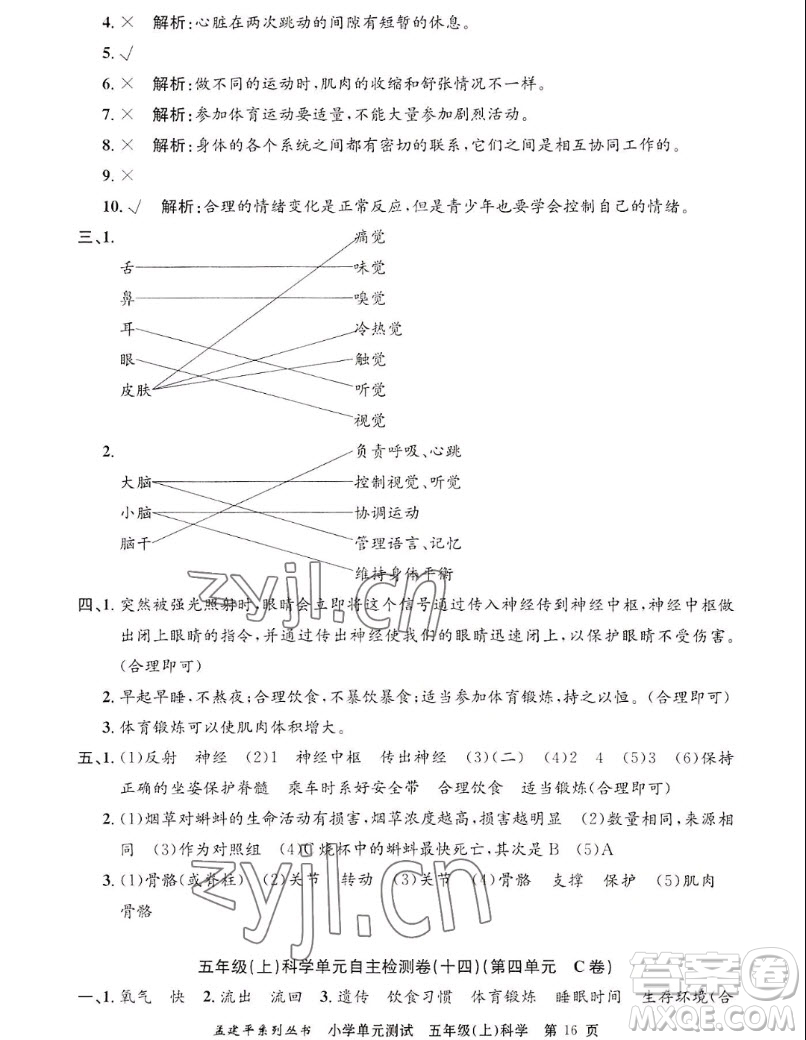 浙江工商大學(xué)出版社2022孟建平小學(xué)單元測試科學(xué)五年級上教科版答案