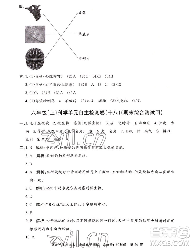 浙江工商大學(xué)出版社2022孟建平小學(xué)單元測試科學(xué)六年級上教科版答案