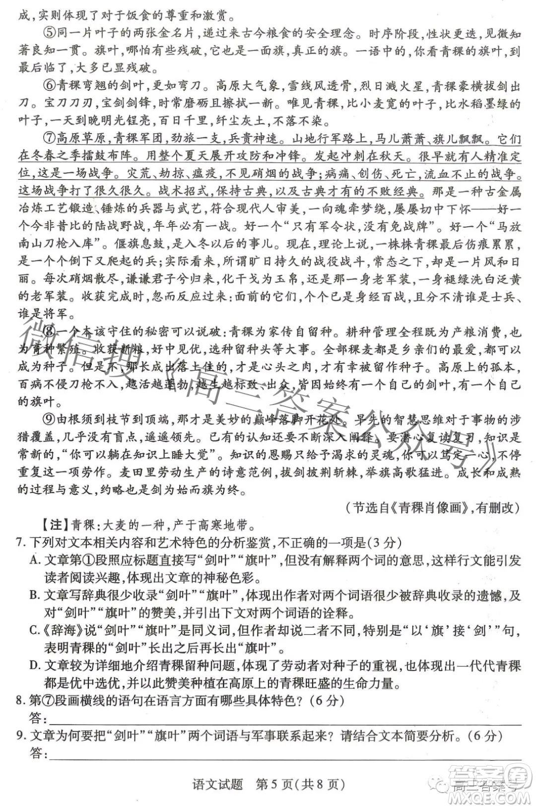天一大聯(lián)考頂尖計(jì)劃2023屆高中畢業(yè)班第一次考試語文試題及答案