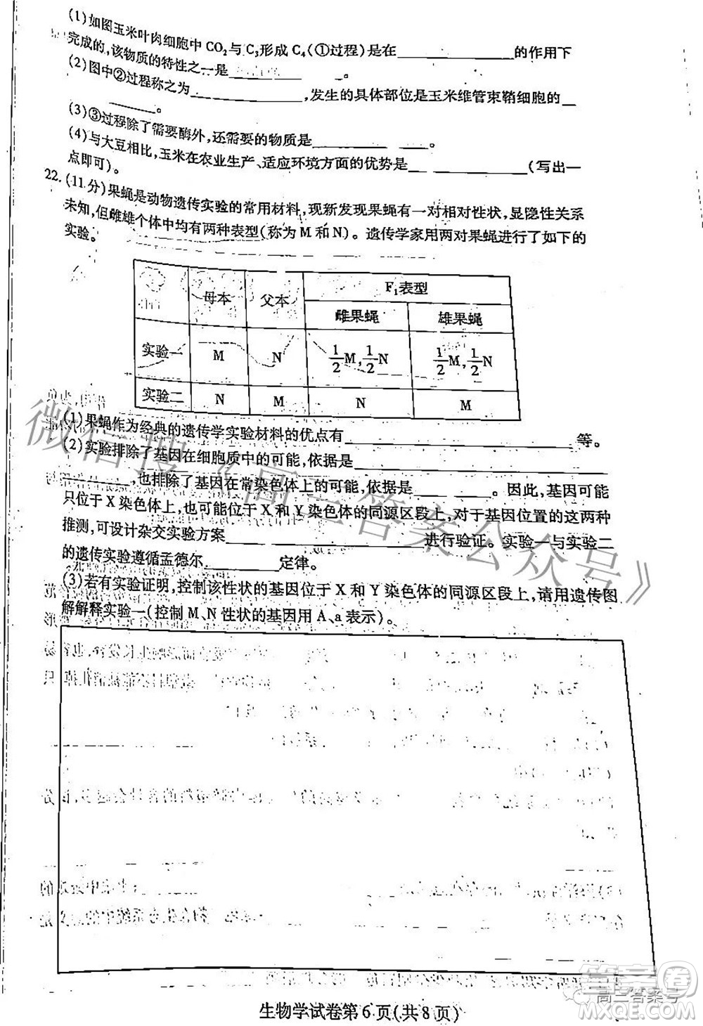哈爾濱市2020級學(xué)業(yè)質(zhì)量檢測試題生物學(xué)試題及答案