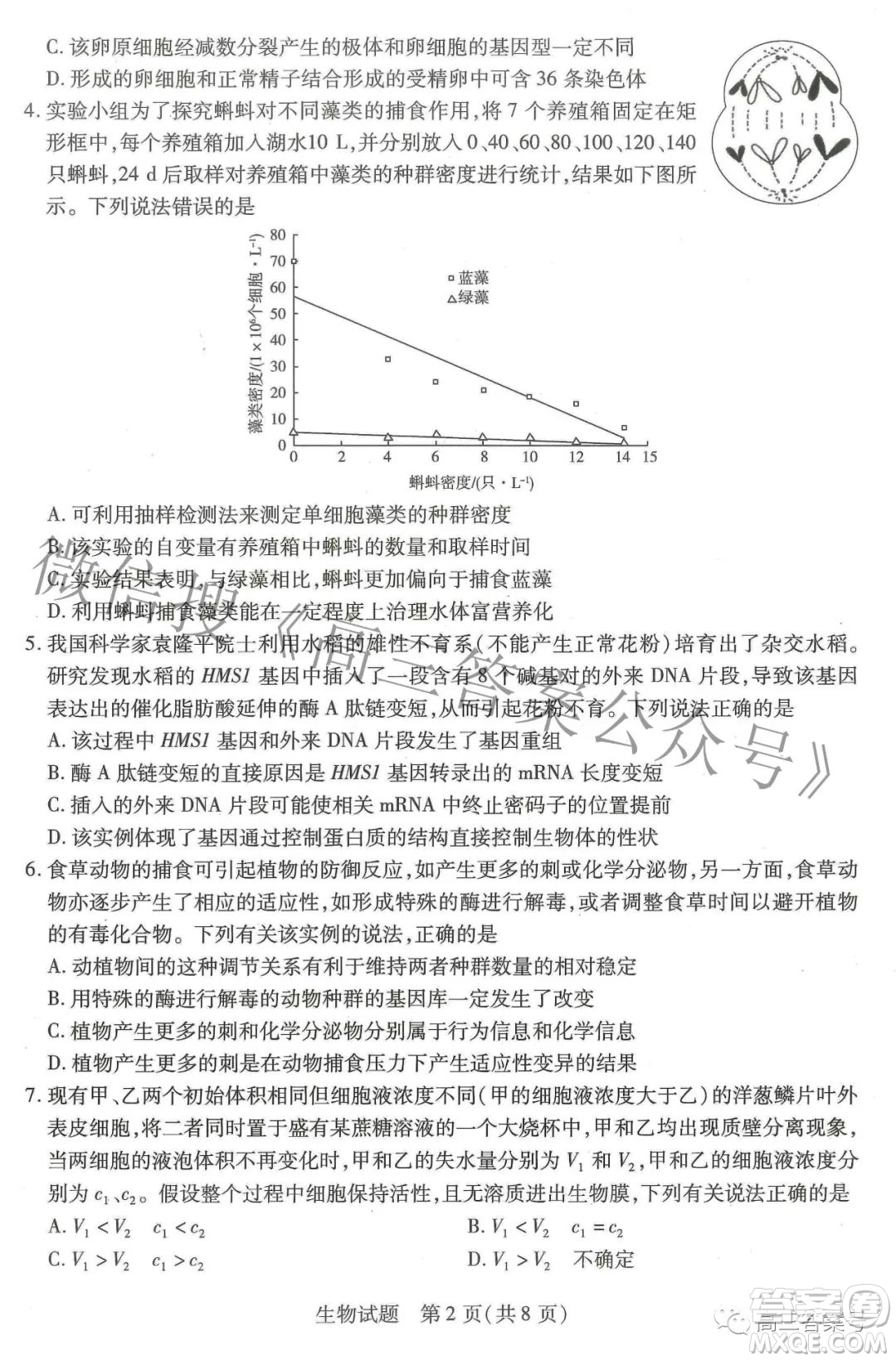 天一大聯(lián)考頂尖計劃2023屆高中畢業(yè)班第一次考試生物試題及答案