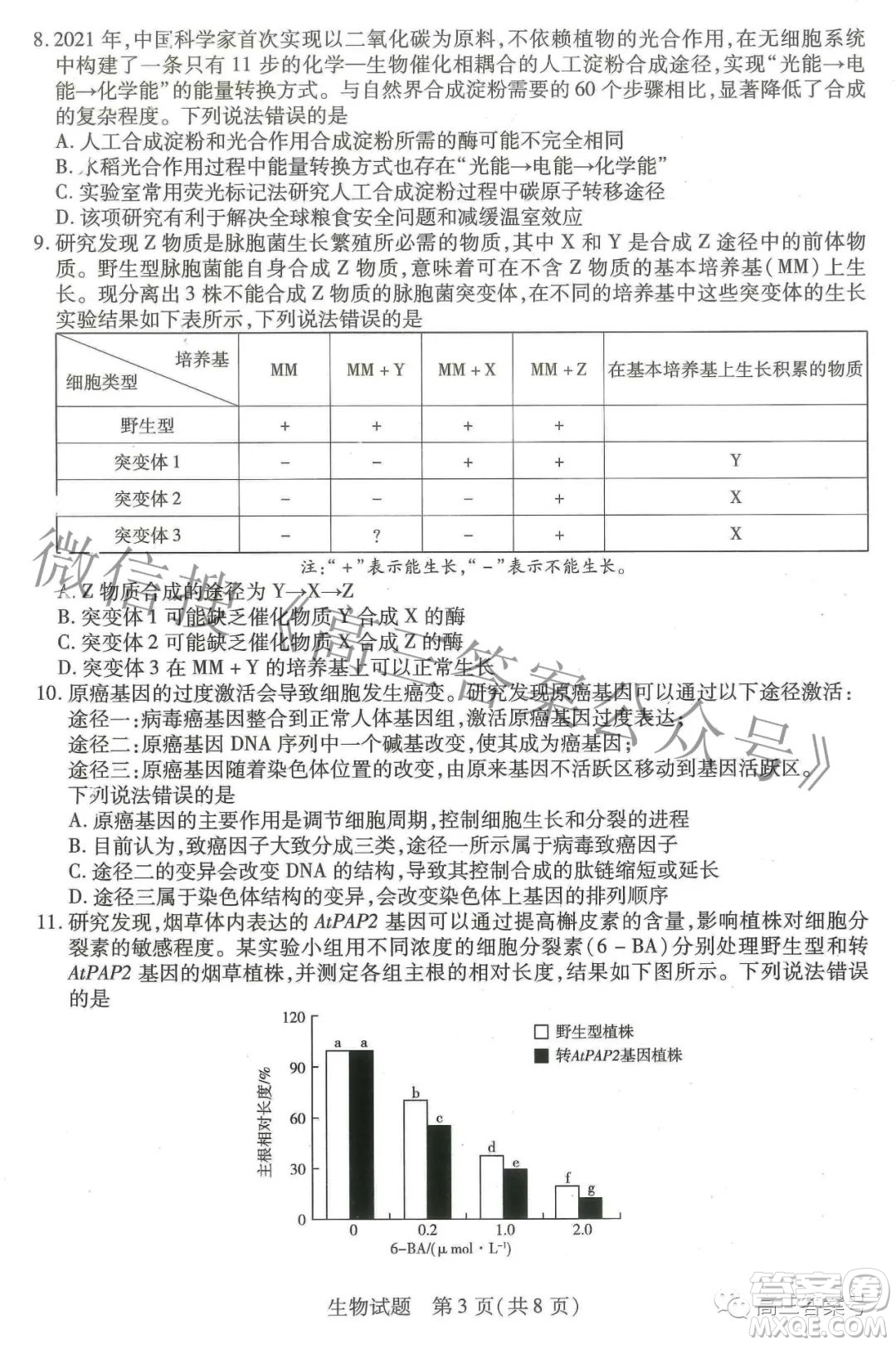 天一大聯(lián)考頂尖計劃2023屆高中畢業(yè)班第一次考試生物試題及答案