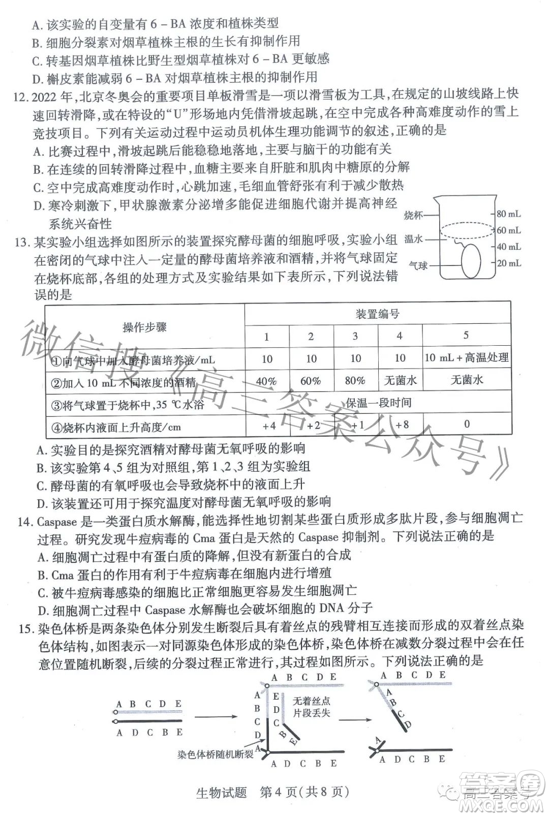 天一大聯(lián)考頂尖計劃2023屆高中畢業(yè)班第一次考試生物試題及答案