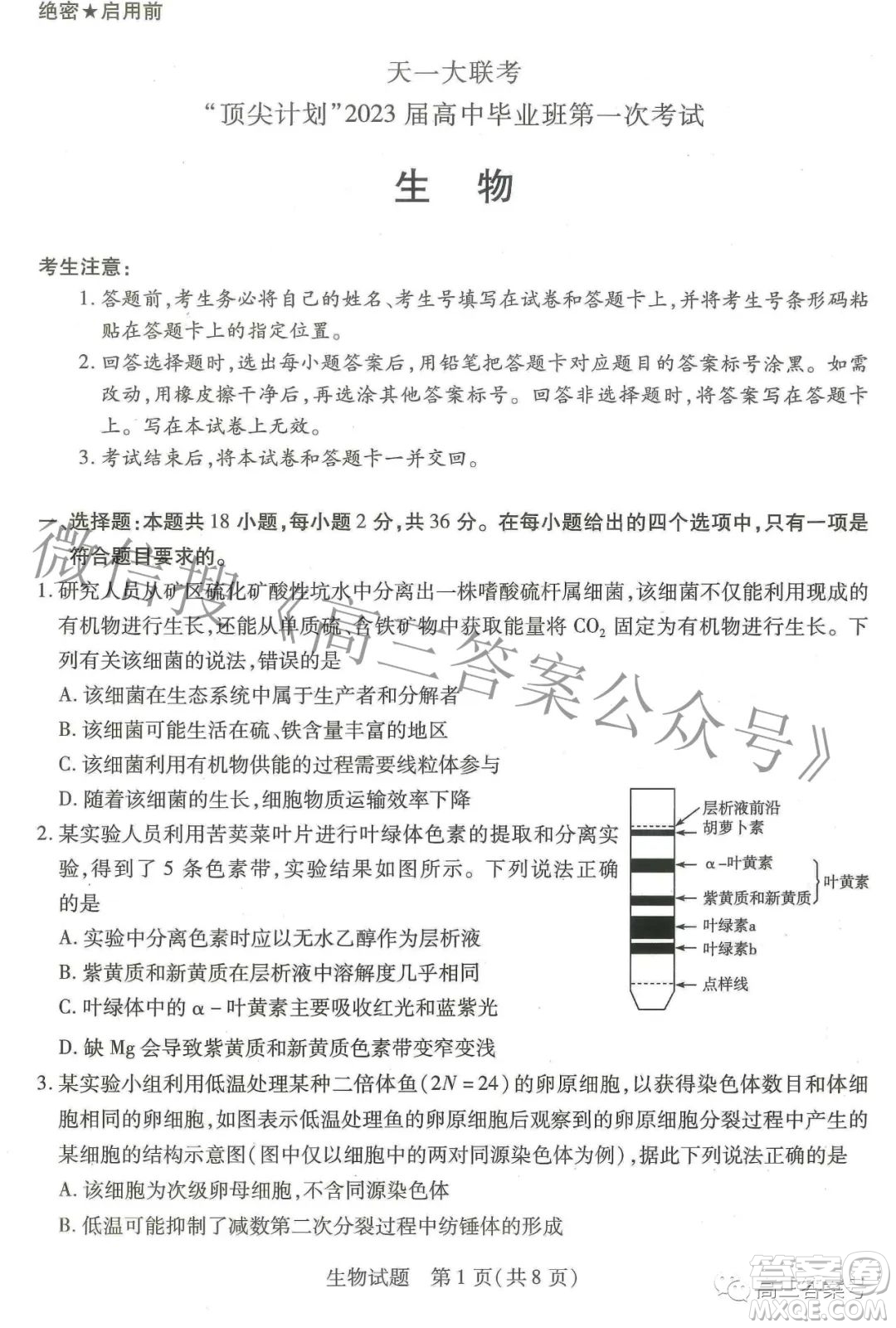 天一大聯(lián)考頂尖計劃2023屆高中畢業(yè)班第一次考試生物試題及答案