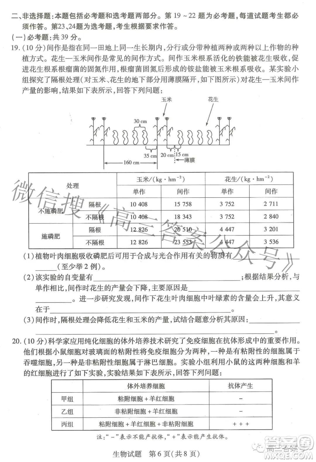 天一大聯(lián)考頂尖計劃2023屆高中畢業(yè)班第一次考試生物試題及答案