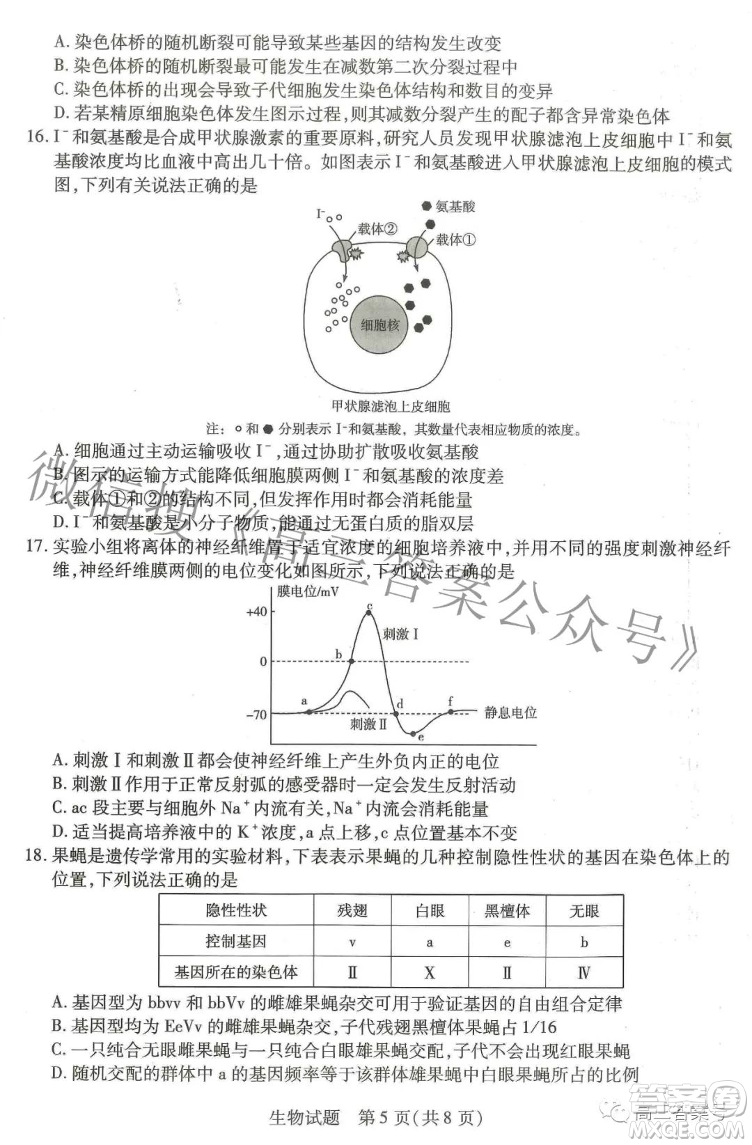 天一大聯(lián)考頂尖計劃2023屆高中畢業(yè)班第一次考試生物試題及答案