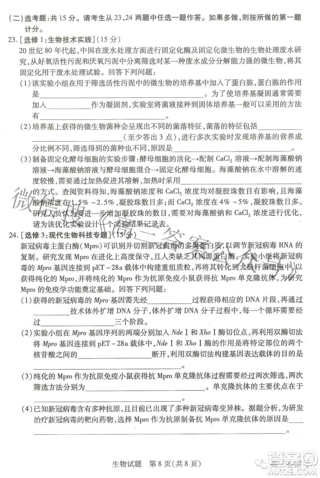 天一大聯(lián)考頂尖計劃2023屆高中畢業(yè)班第一次考試生物試題及答案