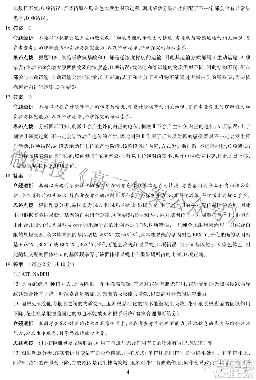 天一大聯(lián)考頂尖計劃2023屆高中畢業(yè)班第一次考試生物試題及答案