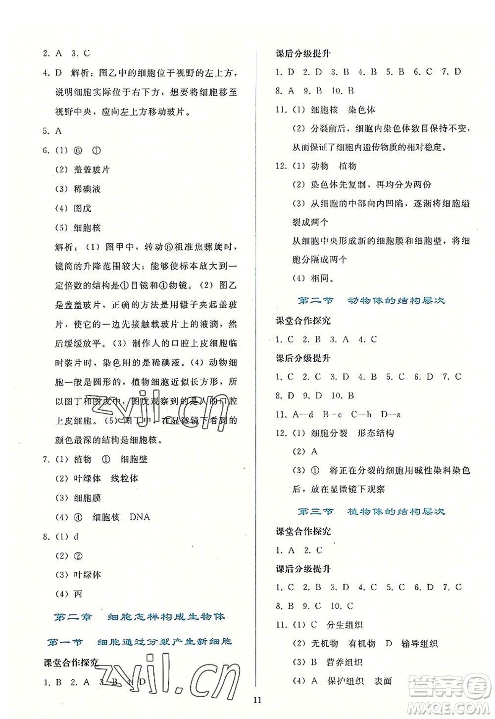 人民教育出版社2022同步輕松練習(xí)七年級生物上冊人教版答案