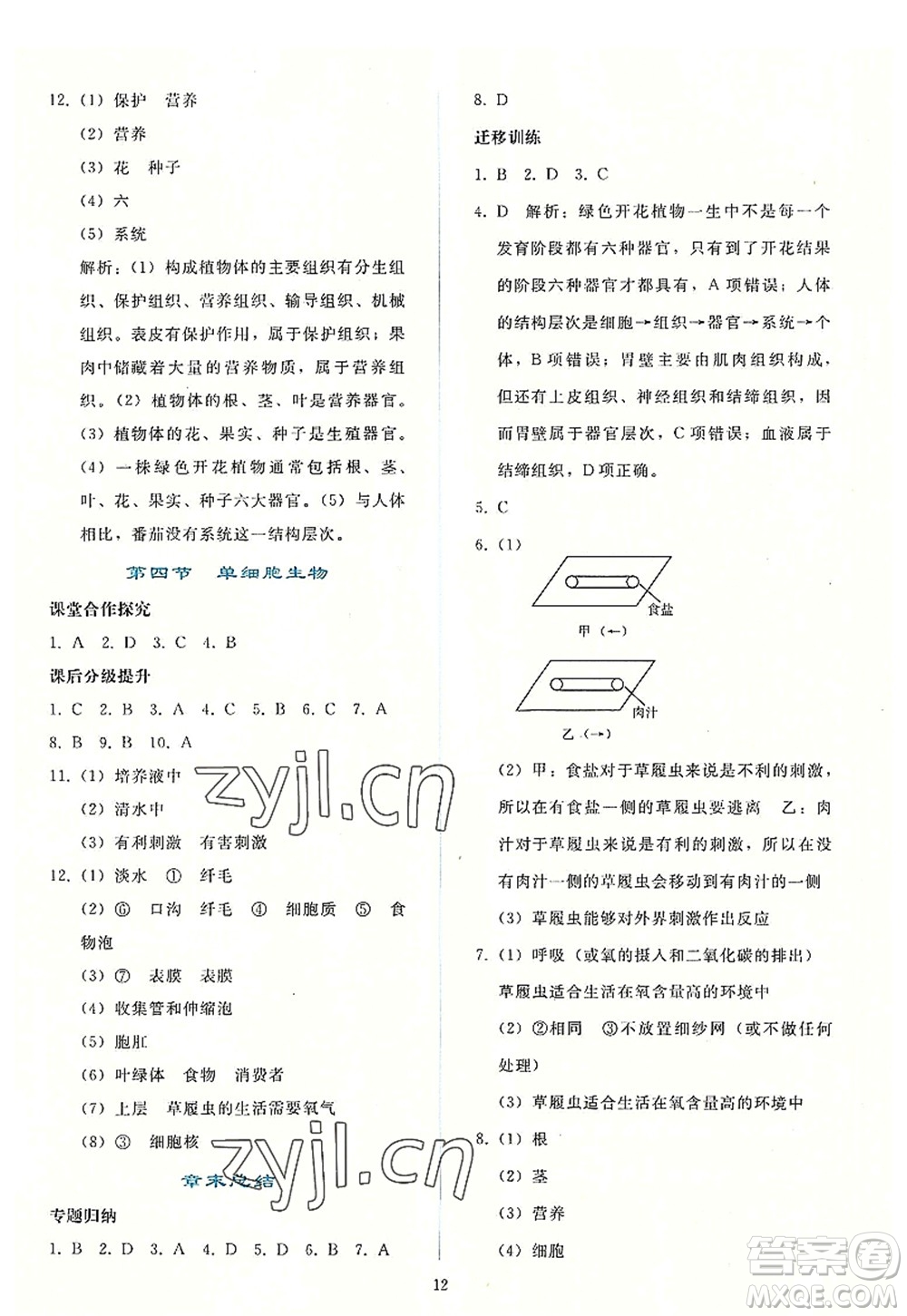人民教育出版社2022同步輕松練習(xí)七年級生物上冊人教版答案