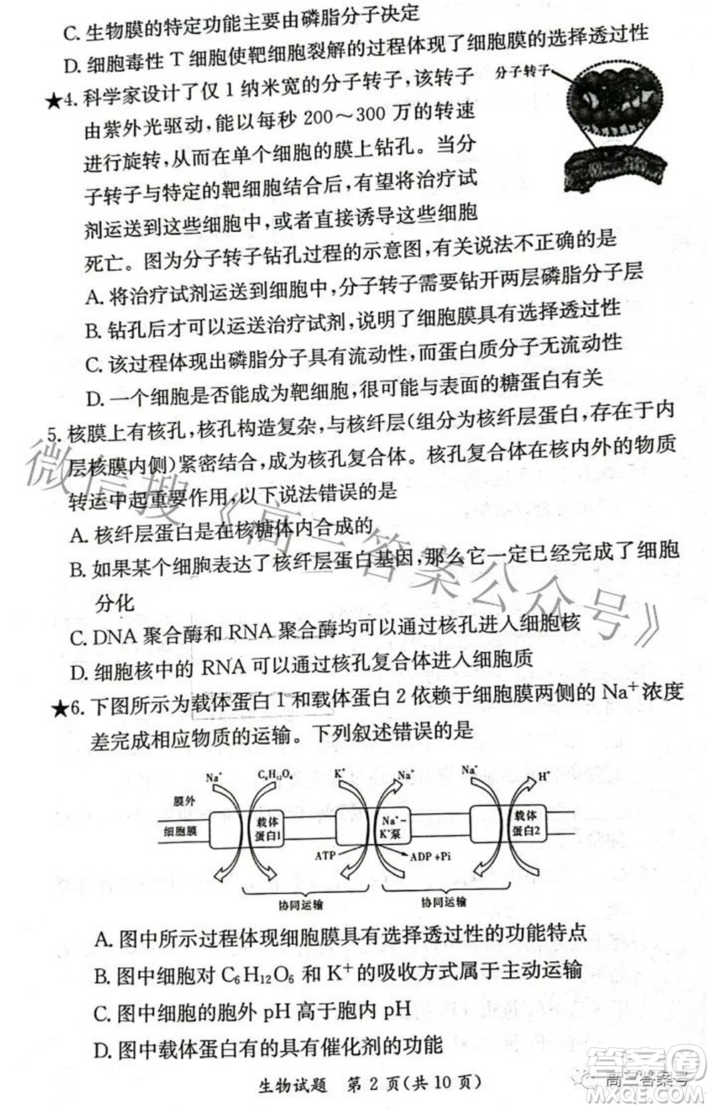 炎德英才大聯考2022年秋高三入學檢測生物試題及答案