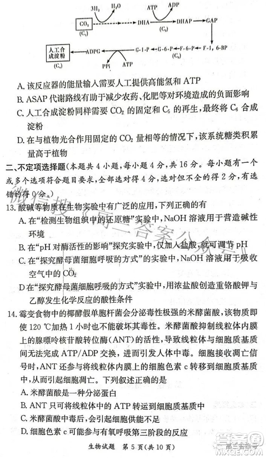炎德英才大聯考2022年秋高三入學檢測生物試題及答案