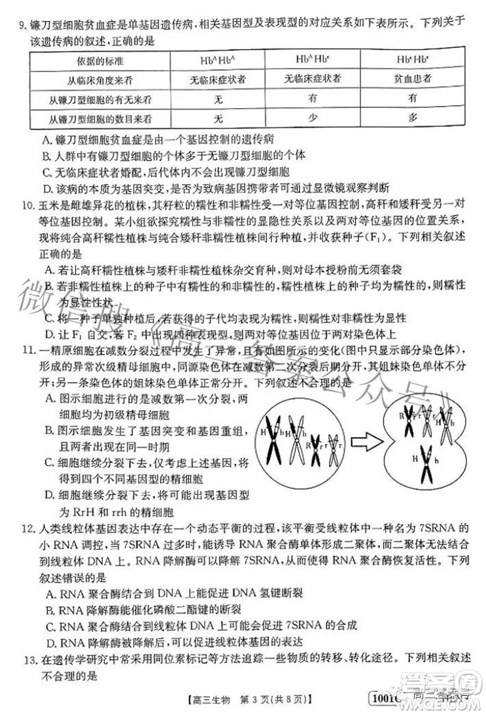 2023屆金太陽8月聯(lián)考1001C高三生物試題及答案