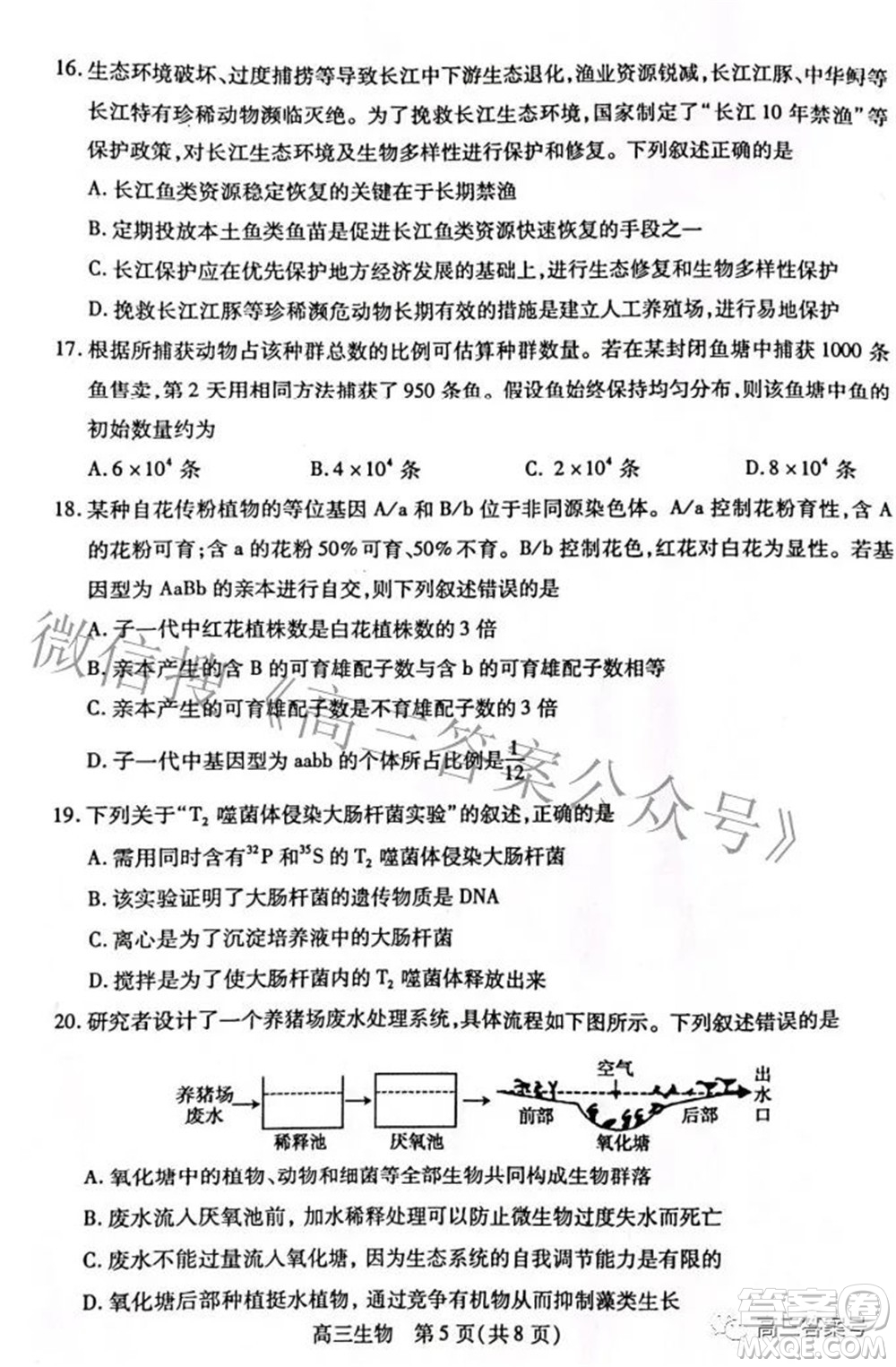 包頭市2022-2023學(xué)年度第一學(xué)期高三年級(jí)調(diào)研考試生物試題及答案