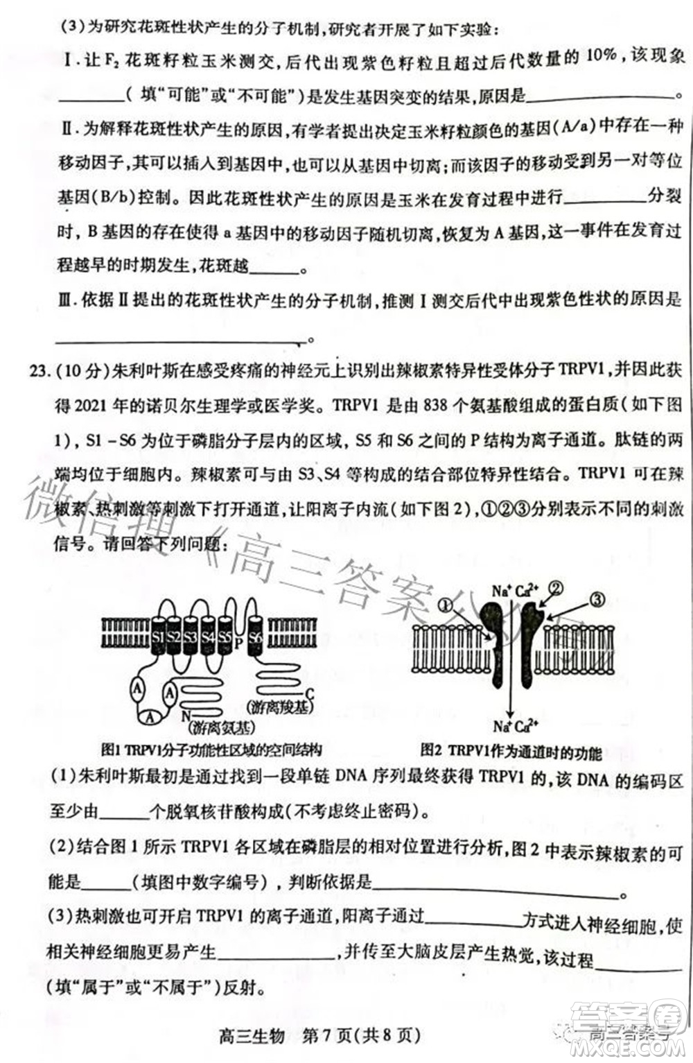 包頭市2022-2023學(xué)年度第一學(xué)期高三年級(jí)調(diào)研考試生物試題及答案