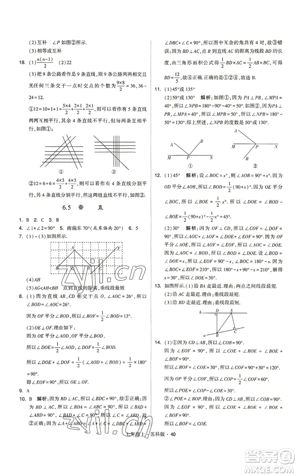 甘肅少年兒童出版社2022秋季學霸題中題七年級上冊數學蘇科版參考答案