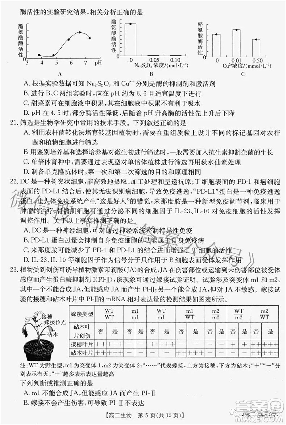 2022-2023學(xué)年高三浙里卷天下8月開學(xué)測(cè)試生物試題及答案