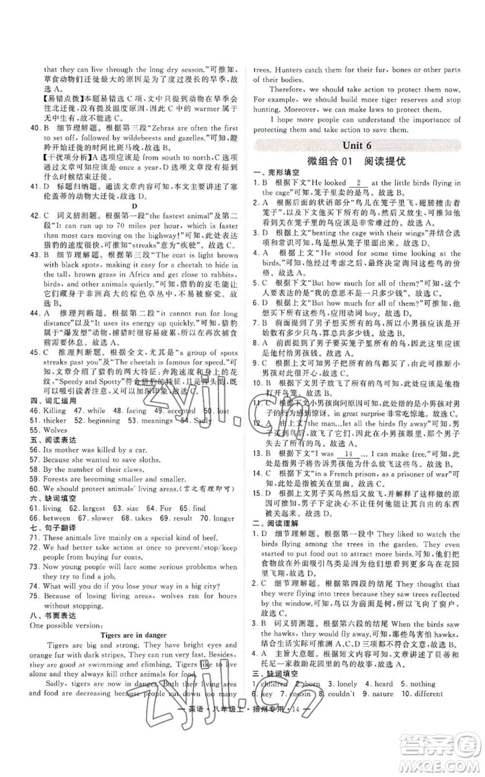 河海大學(xué)出版社2022經(jīng)綸學(xué)典學(xué)霸組合訓(xùn)練八年級(jí)上冊(cè)英語(yǔ)譯林版揚(yáng)州專版參考答案