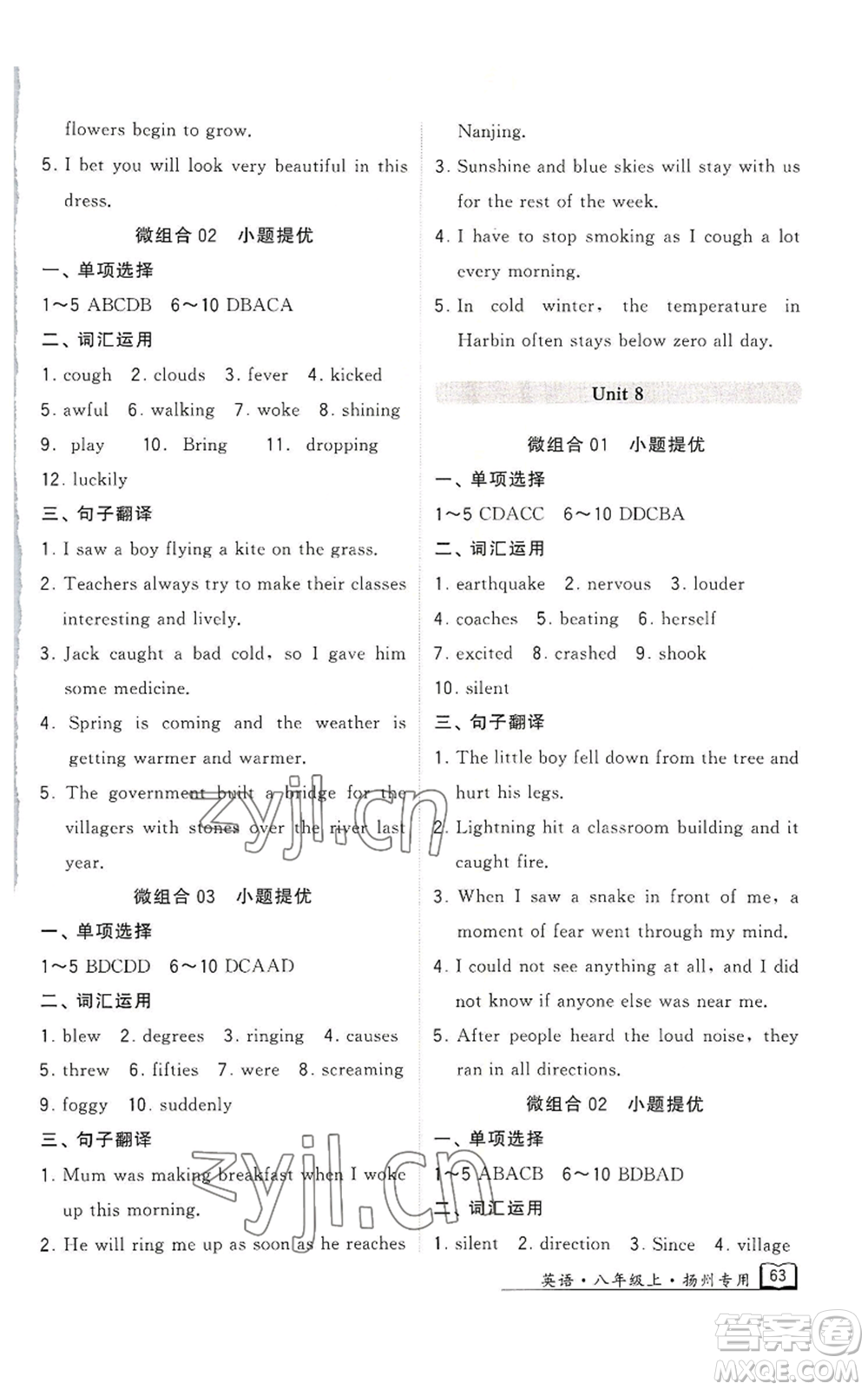 河海大學(xué)出版社2022經(jīng)綸學(xué)典學(xué)霸組合訓(xùn)練八年級(jí)上冊(cè)英語(yǔ)譯林版揚(yáng)州專版參考答案