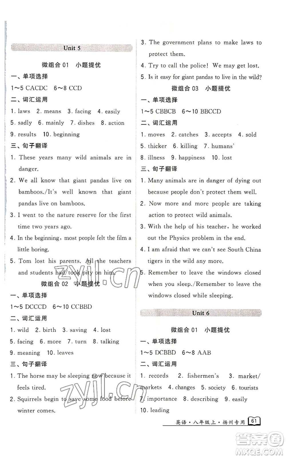 河海大學(xué)出版社2022經(jīng)綸學(xué)典學(xué)霸組合訓(xùn)練八年級(jí)上冊(cè)英語(yǔ)譯林版揚(yáng)州專版參考答案