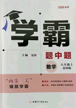甘肅少年兒童出版社2022秋季學(xué)霸題中題八年級上冊數(shù)學(xué)蘇科版參考答案