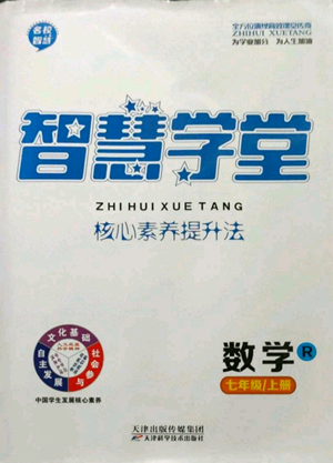 天津科學技術出版社2022智慧學堂核心素養(yǎng)提升法A本七年級上冊數學人教版參考答案