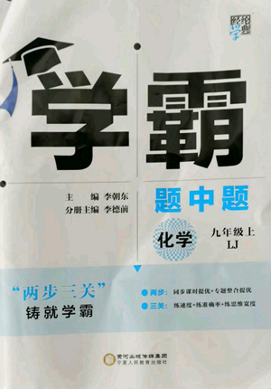 寧夏人民教育出版社2022經(jīng)綸學(xué)典學(xué)霸題中題九年級(jí)上冊(cè)化學(xué)魯教版參考答案