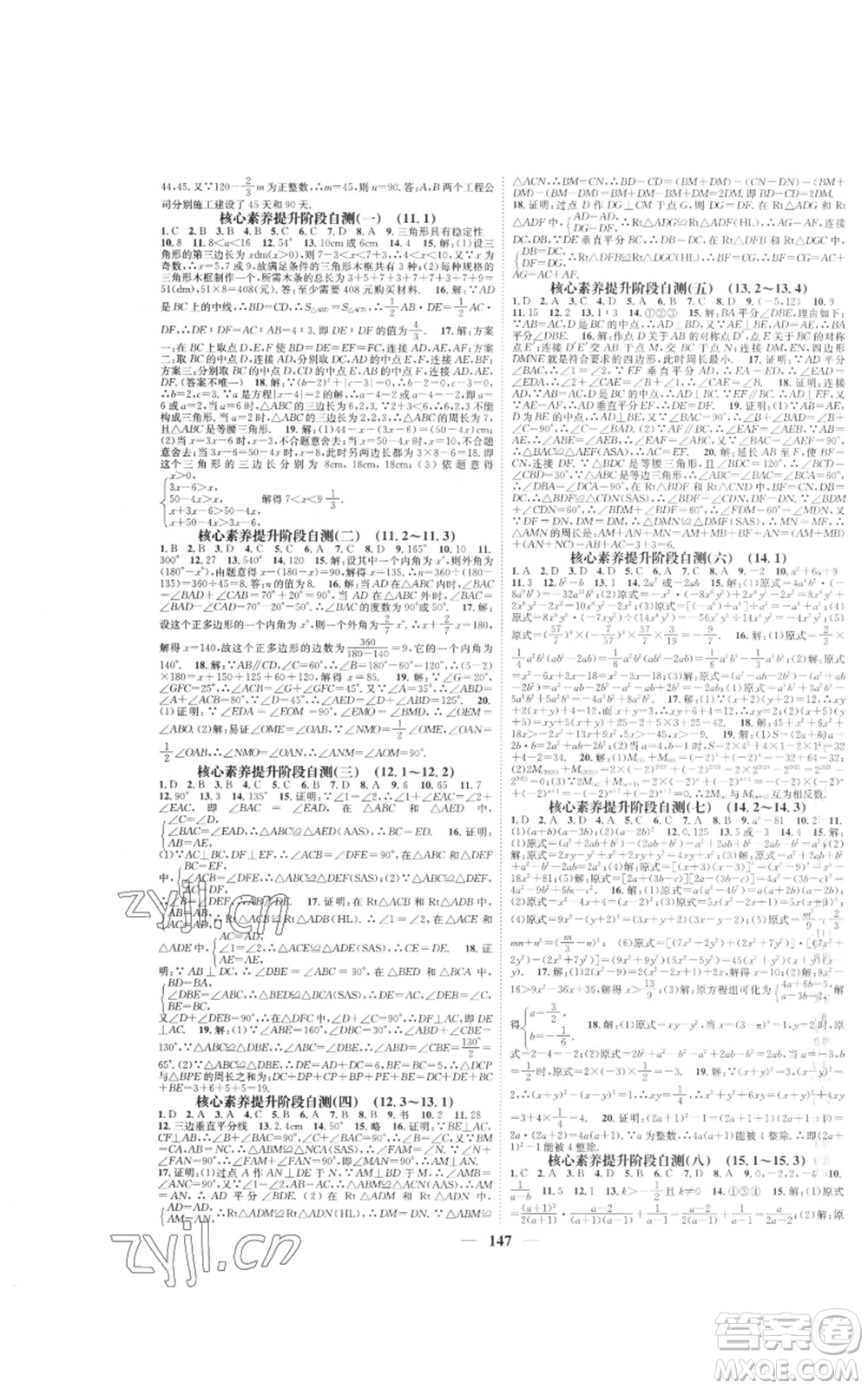 天津科學(xué)技術(shù)出版社2022智慧學(xué)堂核心素養(yǎng)提升法八年級上冊數(shù)學(xué)人教版參考答案