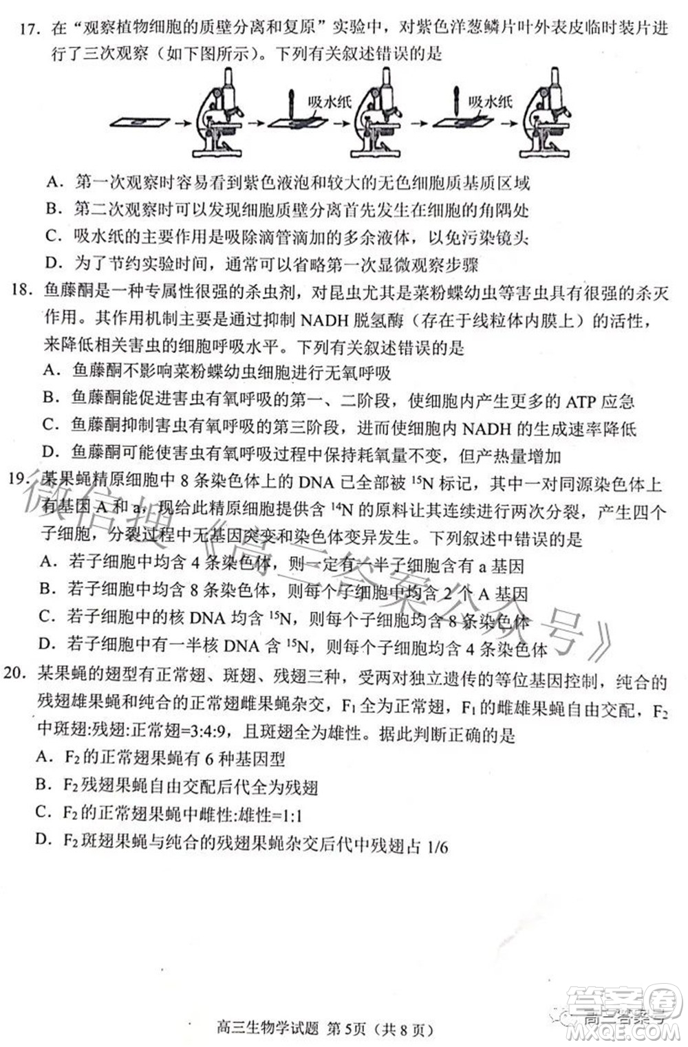 日照市2020級高三上學期校際聯(lián)合考試生物學試題及答案