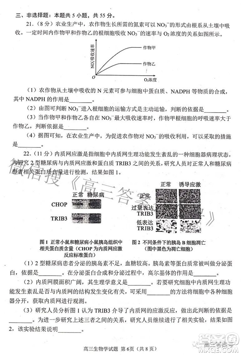 日照市2020級高三上學期校際聯(lián)合考試生物學試題及答案