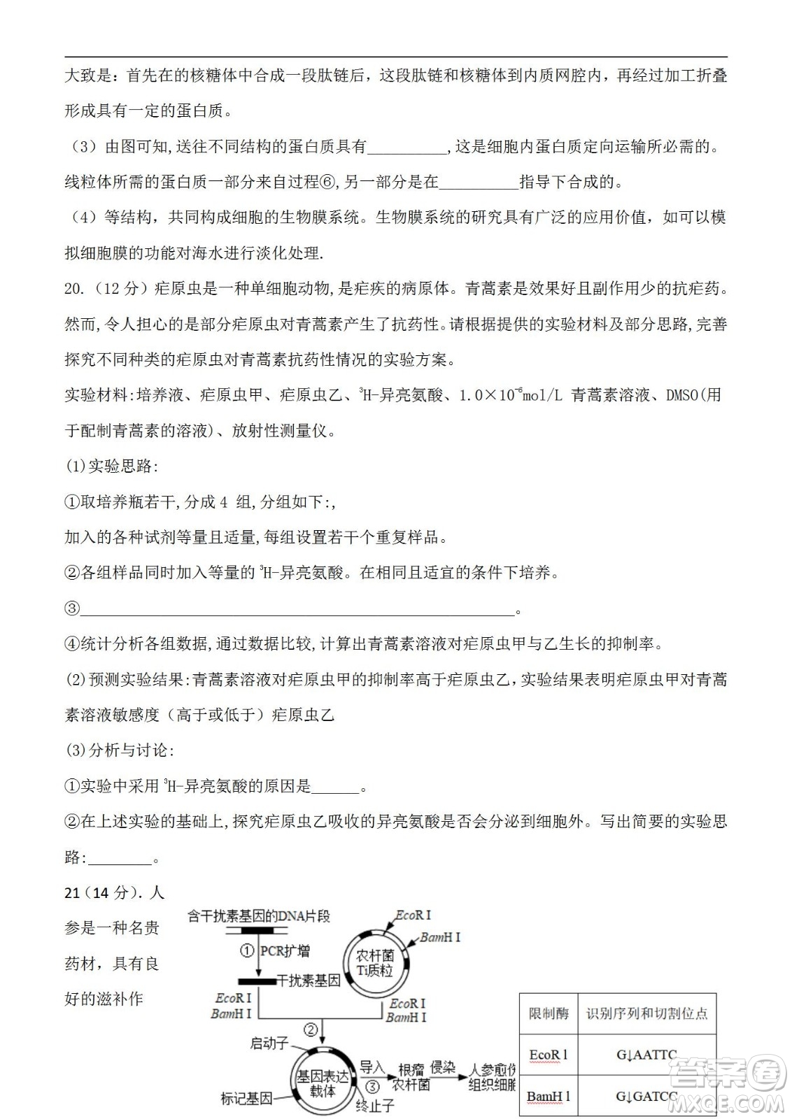 福建省龍巖一中2023屆高三第一次月考生物試題及答案