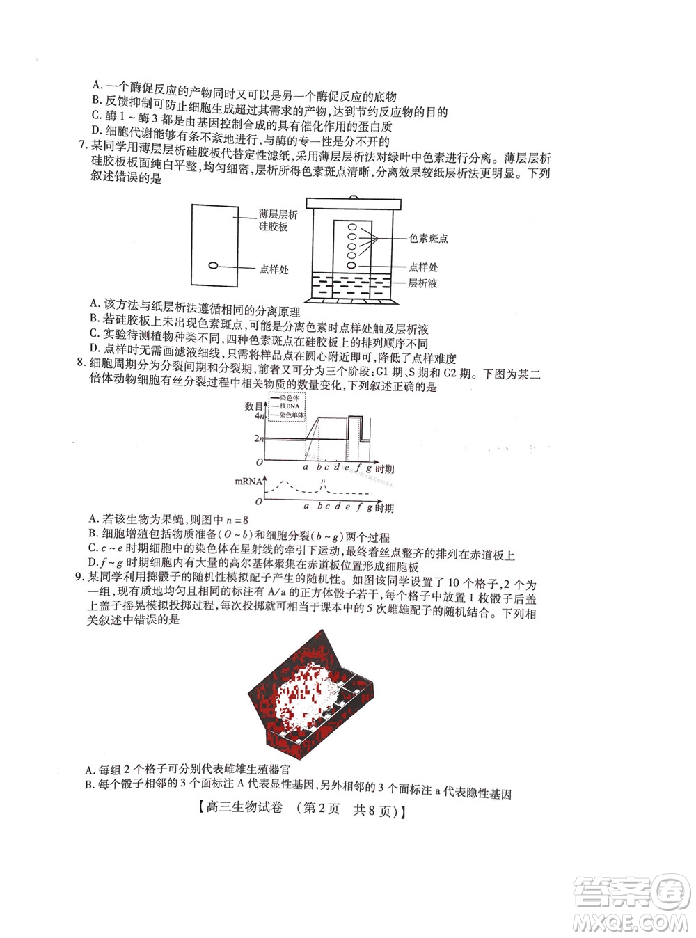 河南省六市2022-2023學(xué)年高三年級TOP二十名校九月摸底考試高三生物試卷及答案