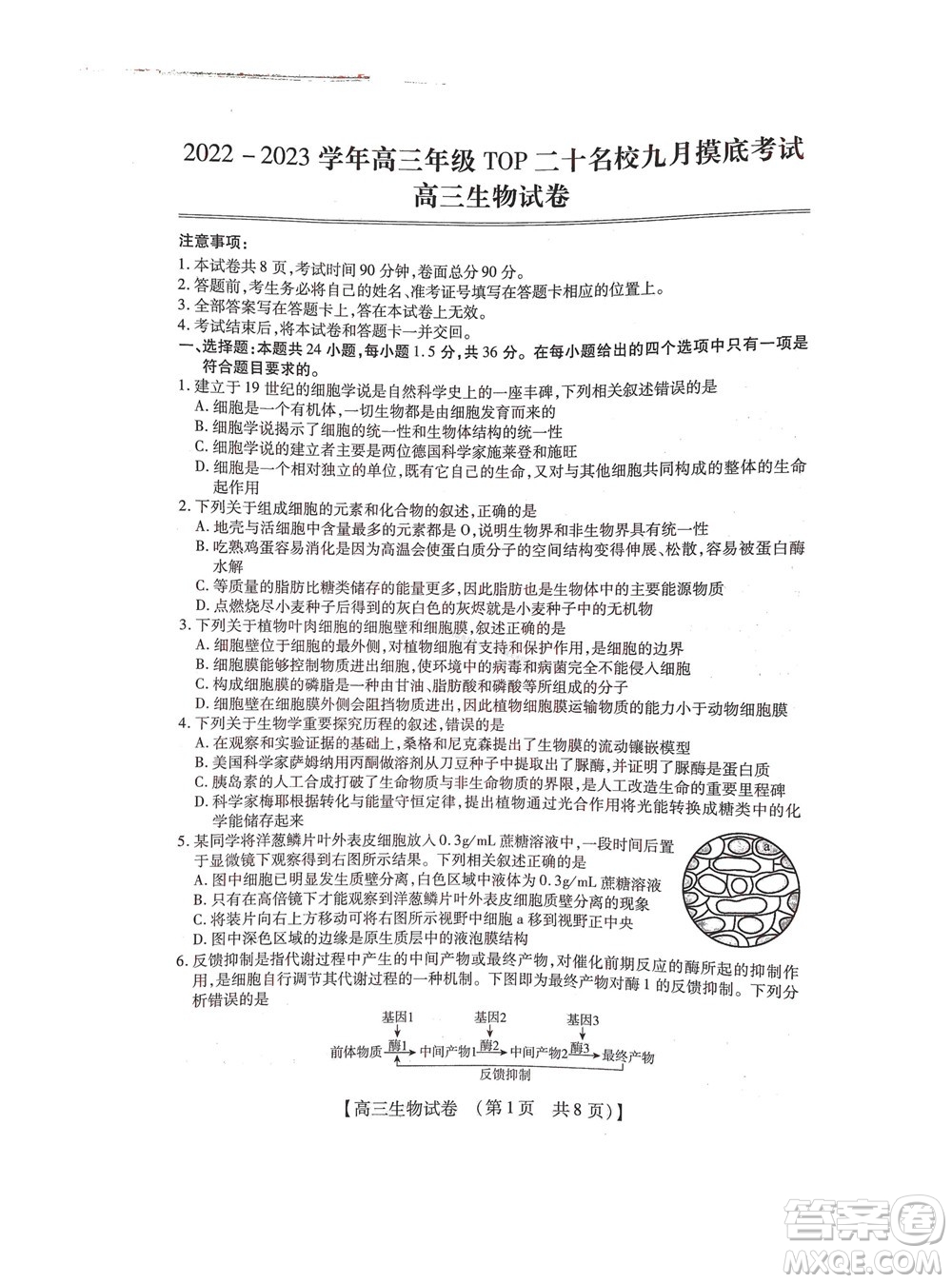 河南省六市2022-2023學(xué)年高三年級TOP二十名校九月摸底考試高三生物試卷及答案