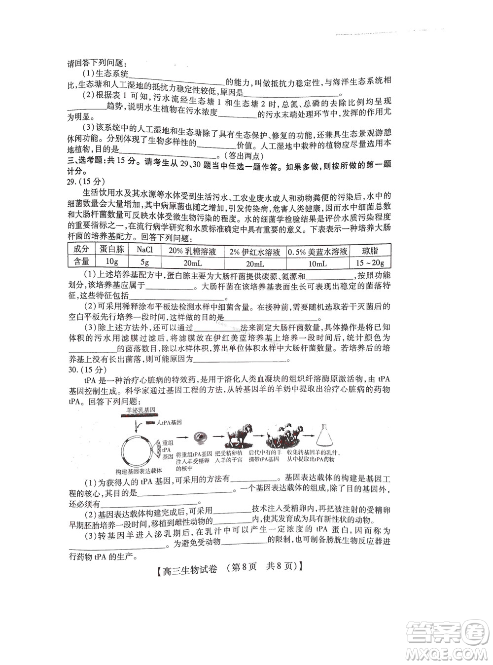 河南省六市2022-2023學(xué)年高三年級TOP二十名校九月摸底考試高三生物試卷及答案