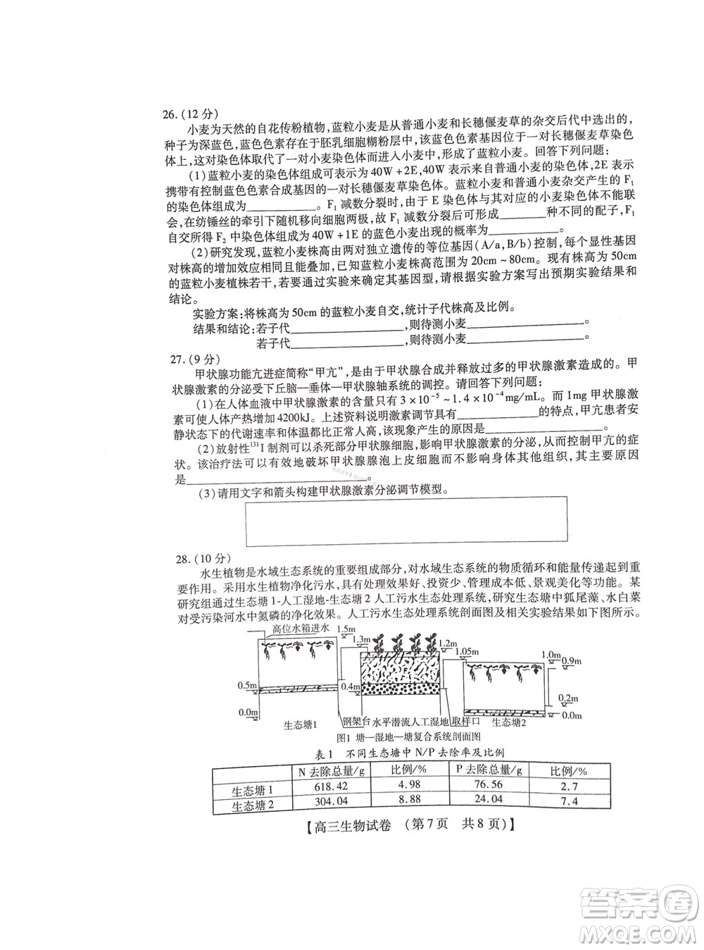 河南省六市2022-2023學(xué)年高三年級TOP二十名校九月摸底考試高三生物試卷及答案