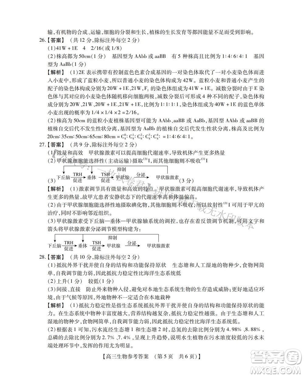 河南省六市2022-2023學(xué)年高三年級TOP二十名校九月摸底考試高三生物試卷及答案