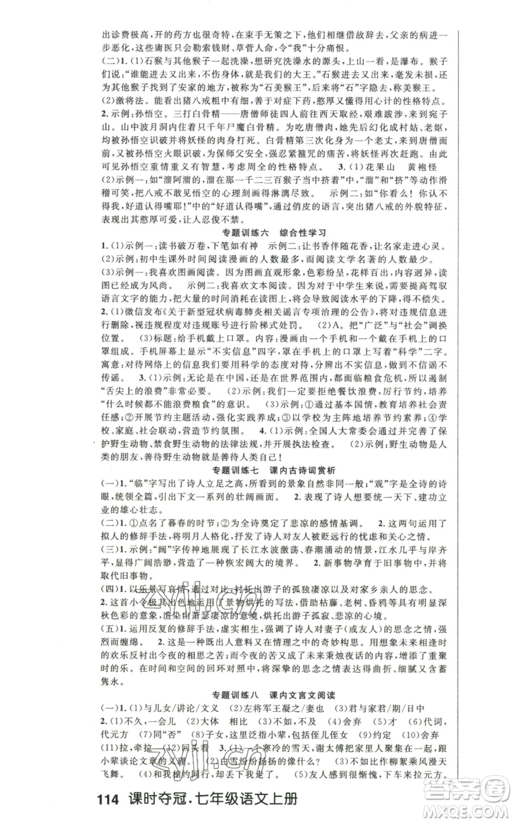 新世紀(jì)出版社2022秋季課時奪冠七年級上冊語文人教版河南專版參考答案