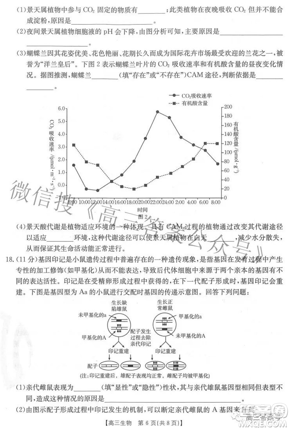 2023屆福建金太陽(yáng)高三9月聯(lián)考生物試題及答案