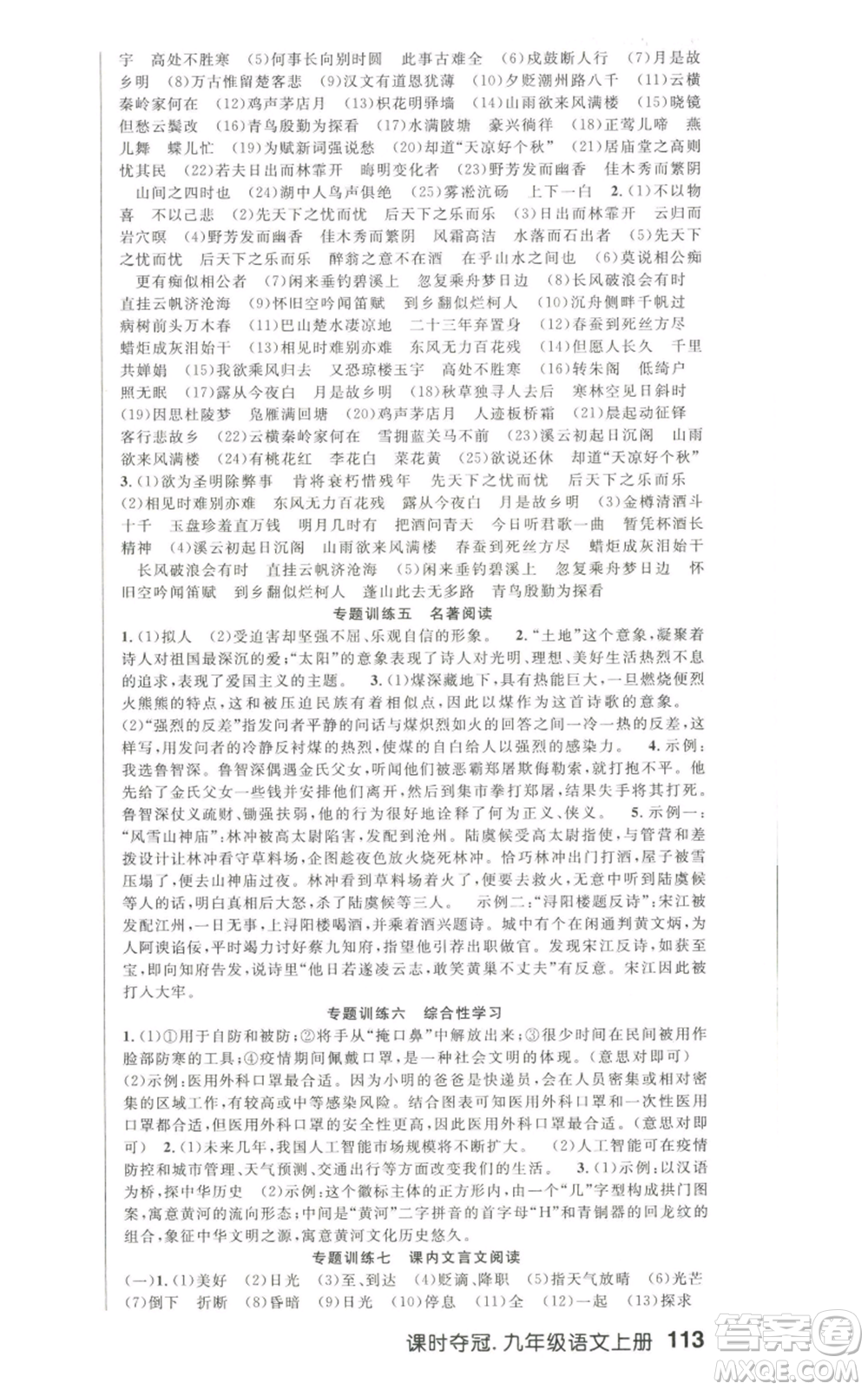 新世紀(jì)出版社2022秋季課時(shí)奪冠九年級(jí)上冊(cè)語文人教版河南專版參考答案