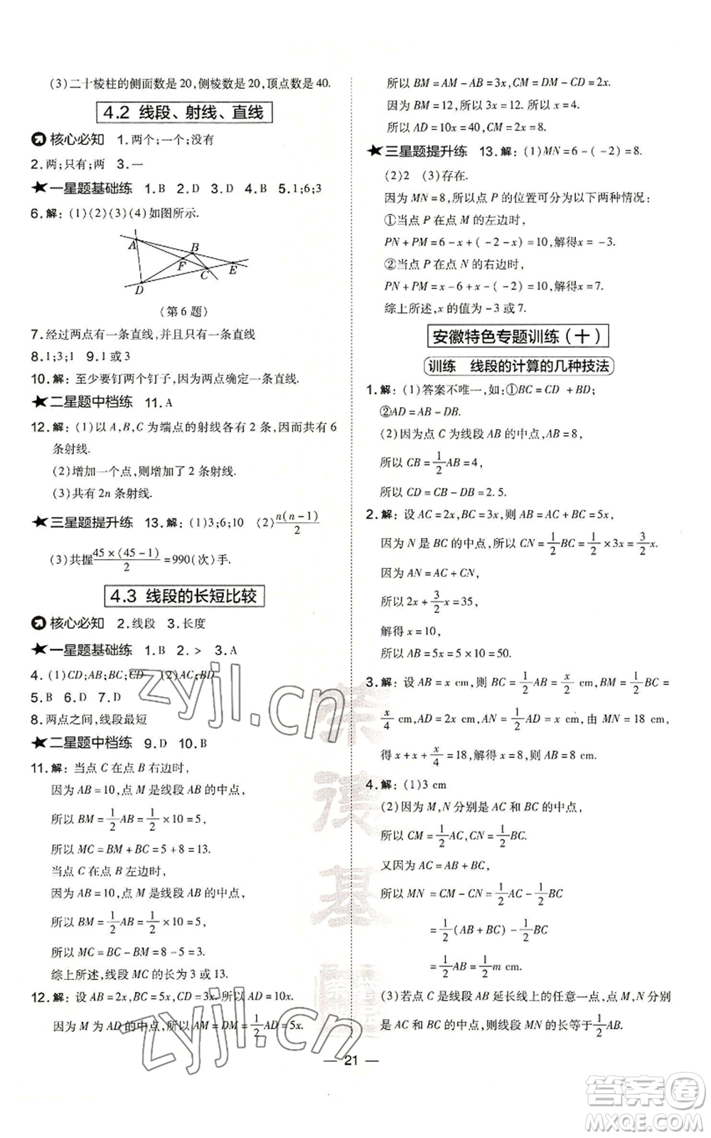 山西教育出版社2022秋季點(diǎn)撥訓(xùn)練七年級(jí)上冊(cè)數(shù)學(xué)滬科版安徽專用參考答案