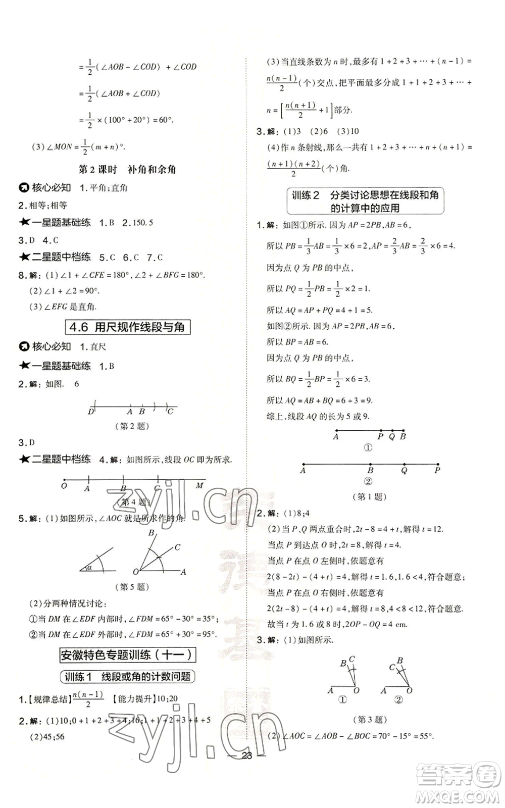 山西教育出版社2022秋季點(diǎn)撥訓(xùn)練七年級(jí)上冊(cè)數(shù)學(xué)滬科版安徽專用參考答案